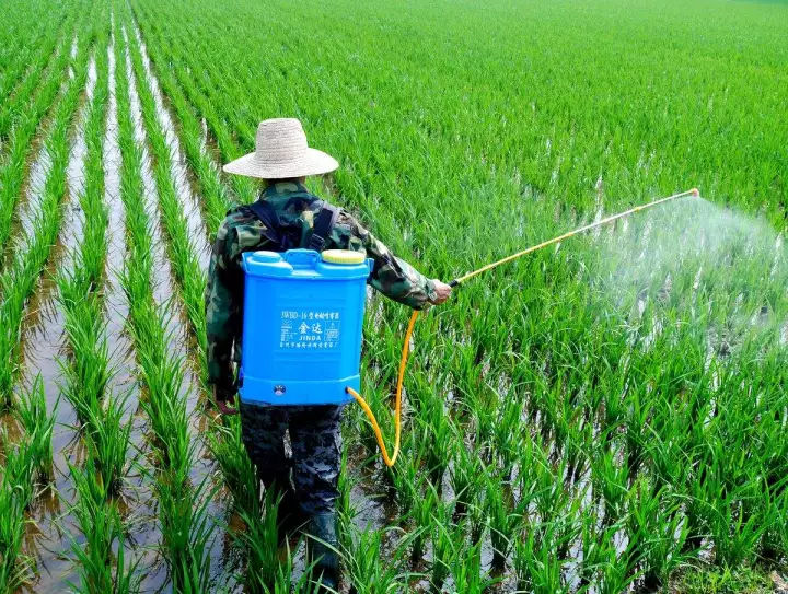 农药喷洒有门道，科学用药效益高 农民必知的五大关键技巧